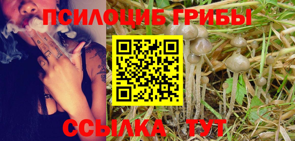 Галлюциногенные грибы GOLDEN TEACHER Ржев