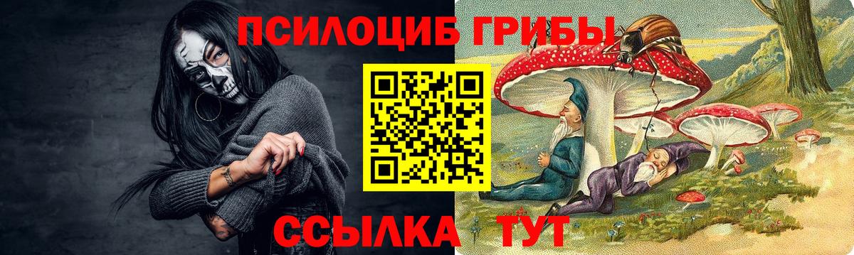 Псилоцибиновые грибы Cubensis  Вход с VPN  Ржев  Галлюциногенные грибы мухоморы 